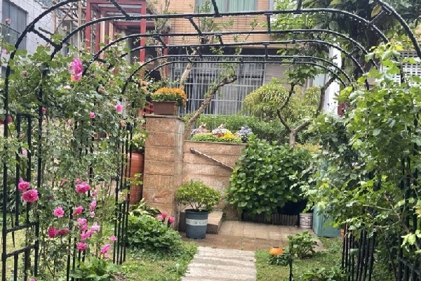 multiple arch trellis in the garden