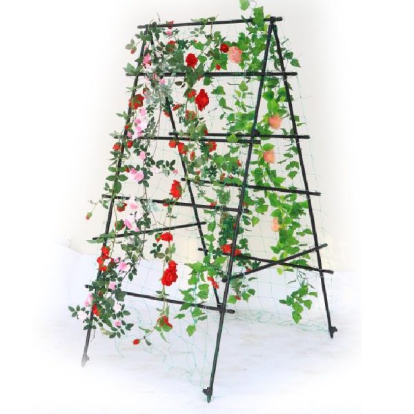 A frame plant trellis and support for vegettables