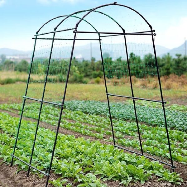 arch frame plant trellis for cucumber and other climber