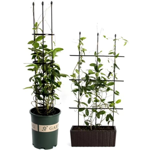 freestanding plant trellis for climbing vines