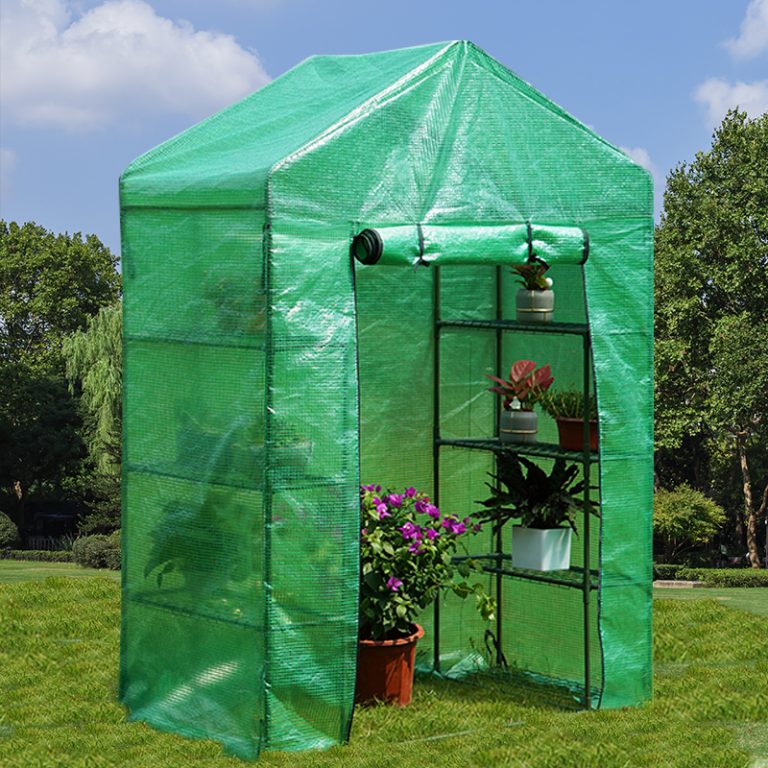 large walk in winter greenhouse with 4 tier shelves