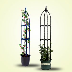 balcony obelisk trellis for potted climbing rose