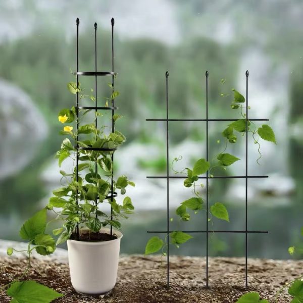 freestanding garden plant trellis