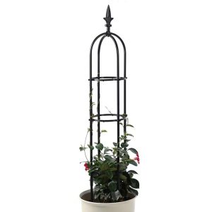 indoor outdoor plant trellis to keep flower standing tall