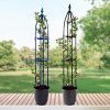 outdoor garden obelisk trellis for potted plant