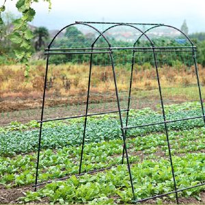 outdoor and garden vegetable trellis for climbing plants