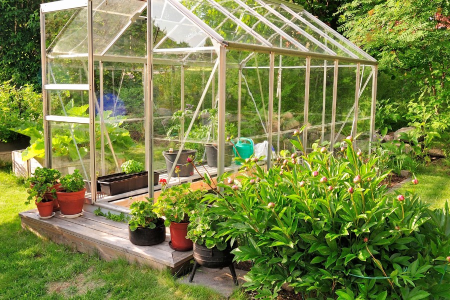 zejingarden.com_The Ultimate Guide to Greenhouse Accessories: Boost Your Plant Growth