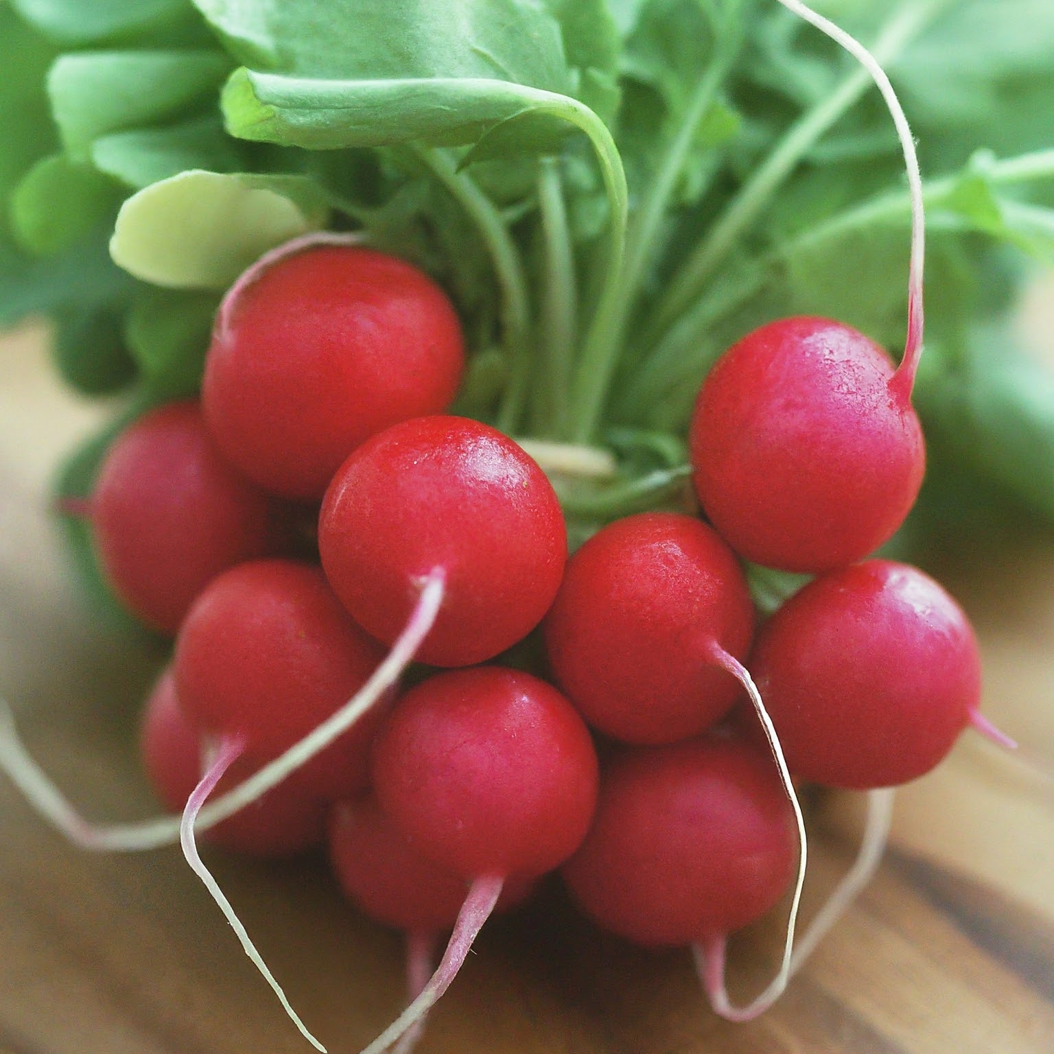 Radishes