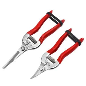 kf Sfa1883cacd9d4cc09bf473c79c1549f05